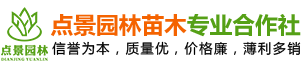 臨澧縣點(diǎn)景園林苗木專業(yè)合作社_臨澧點(diǎn)景園林苗木|點(diǎn)景園林苗木|點(diǎn)景樹